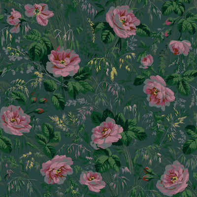 Roses de Monet